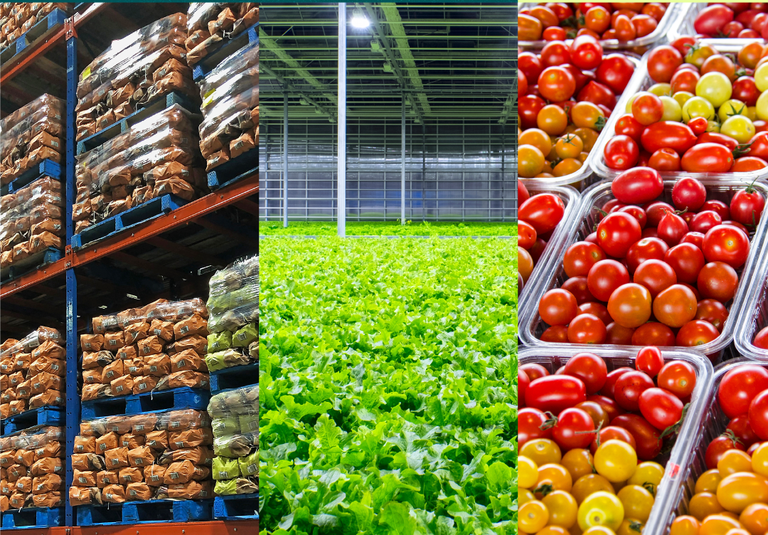 Stratégie nationale de sécurité alimentaire : Des retombées concrètes pour les Cantons-de-l’Est